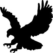 Silhouette of a bird of prey, wings spread, talons extended as if landing or attacking.