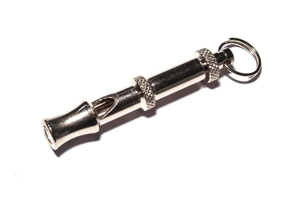 Whistles