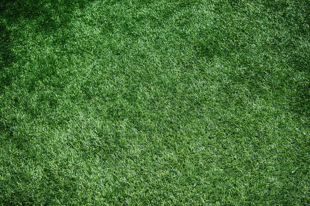 A close-up view of bright green artificial turf with a uniform texture and neatly trimmed blades